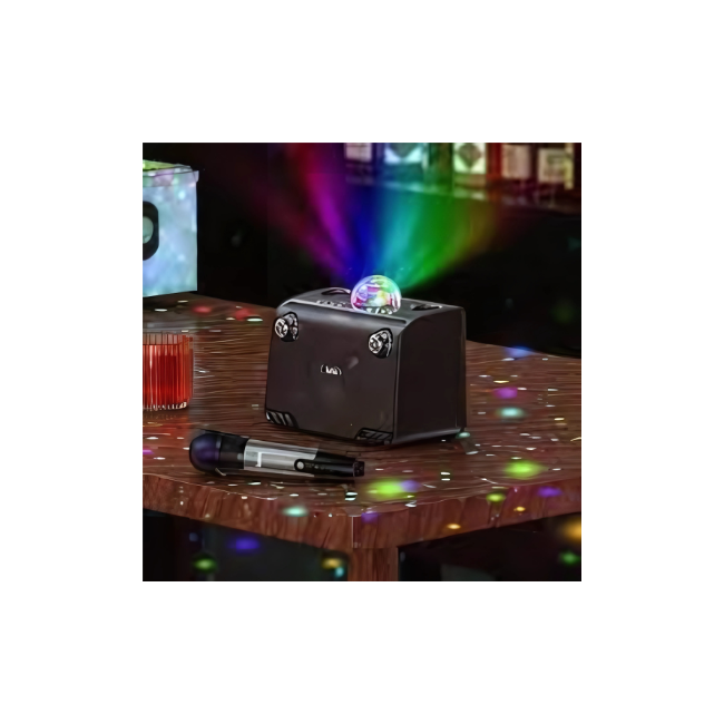 BS14 Wireless Portable Karaoke Speaker