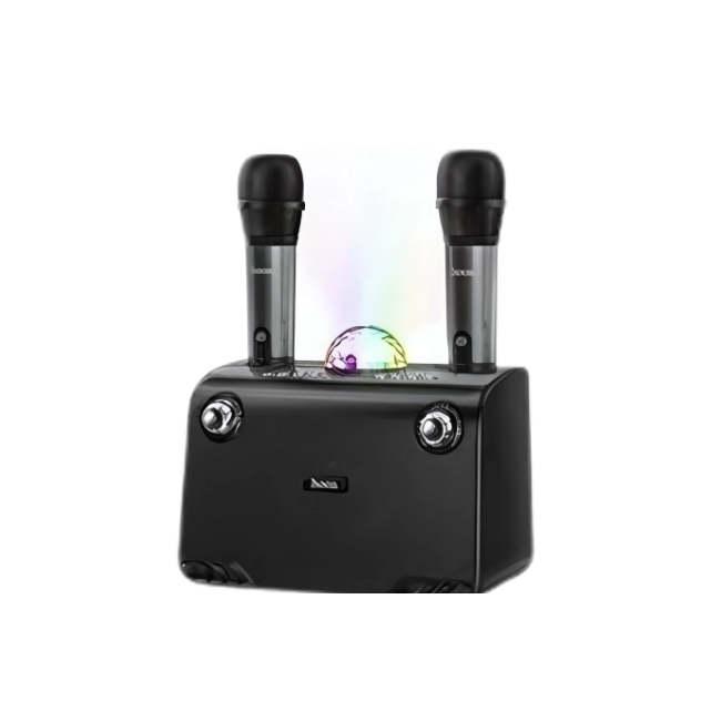 BS14 Wireless Portable Karaoke Speaker